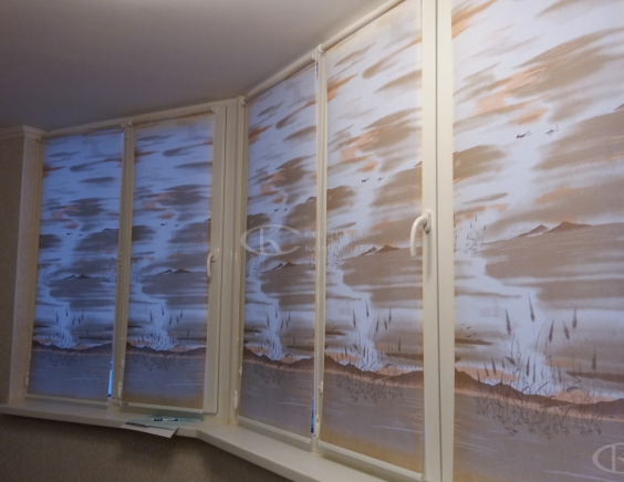 Порфолио Рулонные шторы Мини